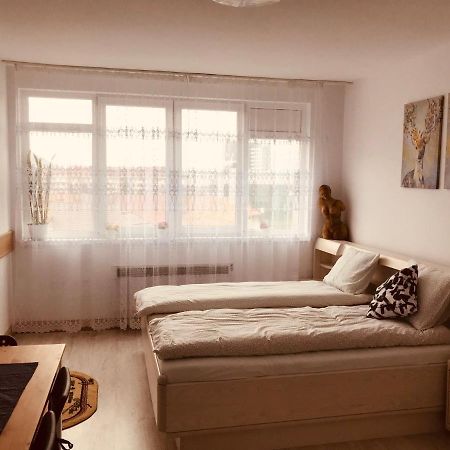 Studio 1o1o1 Appartamento Piatra Neamţ Esterno foto