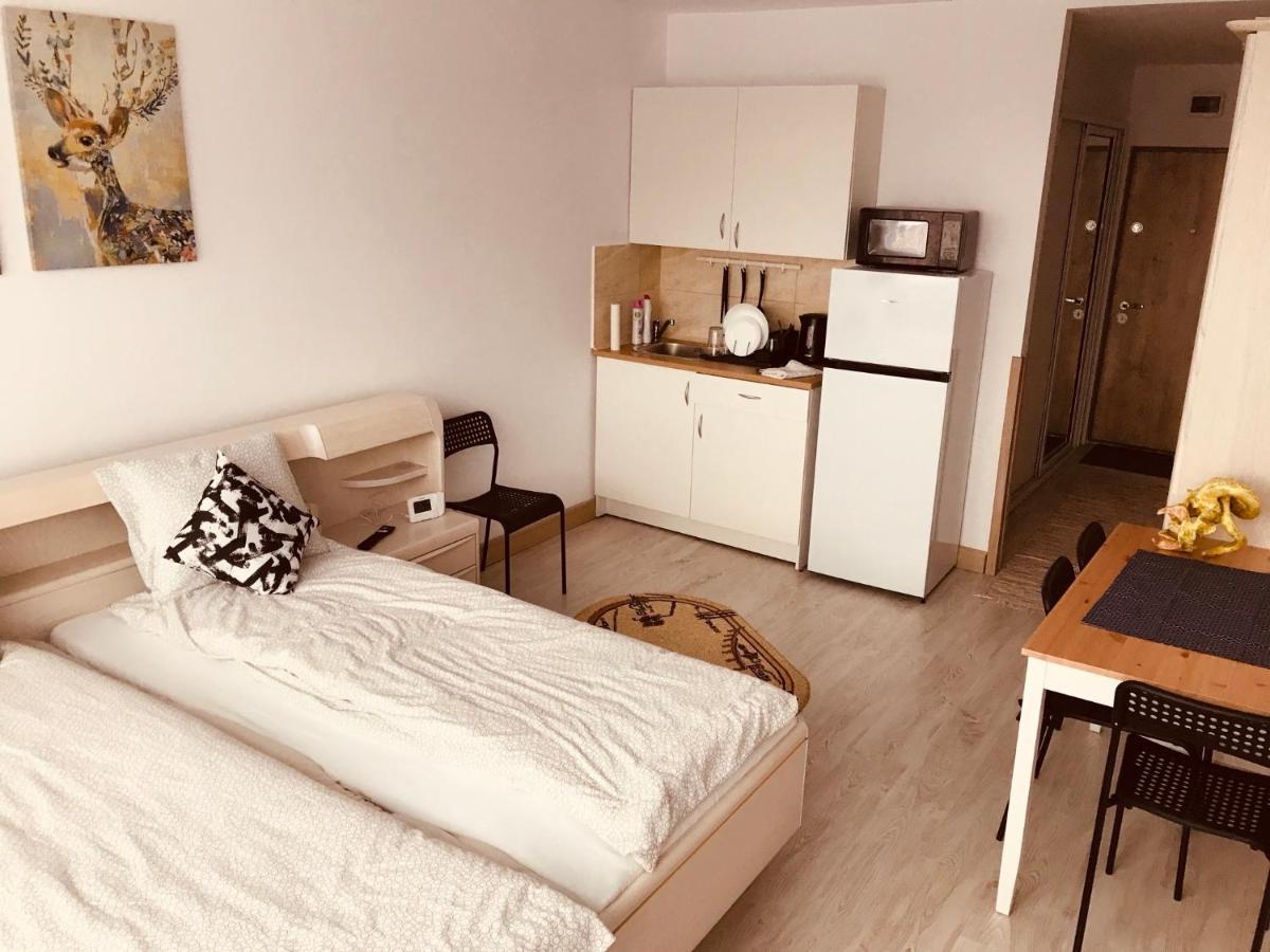 Studio 1o1o1 Appartamento Piatra Neamţ Esterno foto