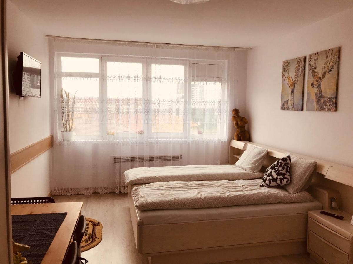 Studio 1o1o1 Appartamento Piatra Neamţ Esterno foto