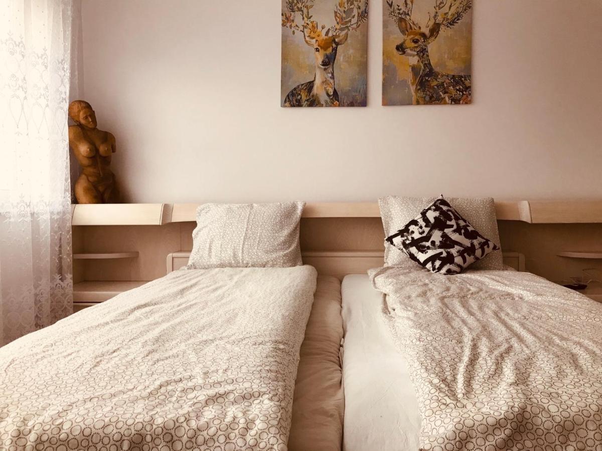 Studio 1o1o1 Appartamento Piatra Neamţ Esterno foto